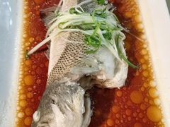 -云中小雅