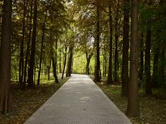 -溱湖国家湿地公园