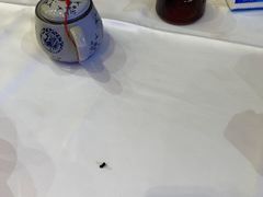 -顺德渔村·岭南一号