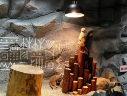 -Zoolung Zoolung动物主题公园(海信广场店)