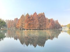 -白塘生态植物园