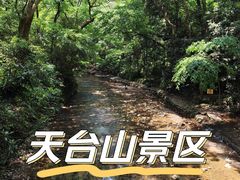 -天台山景区