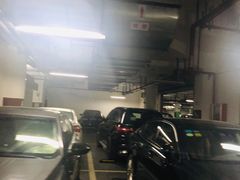 -奉贤区政务服务中心-地下停车场