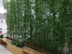 -首都医科大学附属北京潞河医院