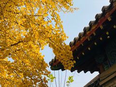 -北京石刻艺术博物馆(五塔寺)