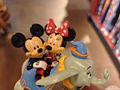 -奥兰多迪士尼动物王国乐园