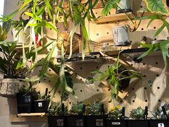 -Rabbit Cafe私房西餐甜点咖啡(栖霞路店)