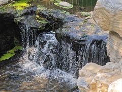 -白水寺森林公园