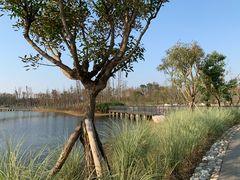 -白鹭湾湿地公园