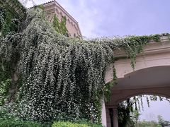 -府河摄影公园