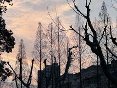 -杭州宋城