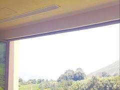 -白茶原·一片叶子
