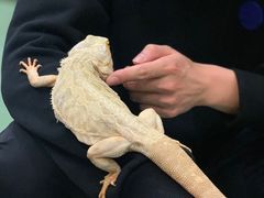 -藦茜花园宠物主题亲子互动体验馆(国顺东路店)