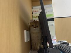 -瑞派康怡24h宠物医院·犬猫医疗中心·微创绝育(瑞景分院)