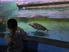 -常州海昌海洋探索馆