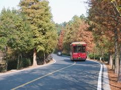 -南京市无想山景区