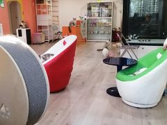 -Bastet sally猫舍购宠(静安店)