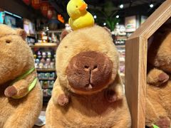 -海底捞火锅(长宁路龙之梦店)