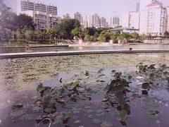 -雁滩公园