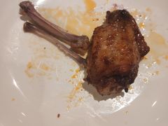 -福苗小骆驼烧烤(大唐不夜城店)