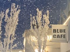 -Blue Concept Cafe&Farm·關於藍