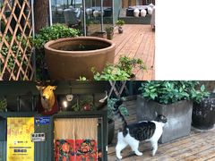 -有才叔的小馆(招商依云曲江店)