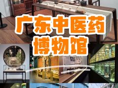 -广东中医药博物馆