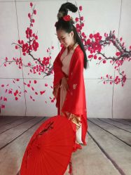 点击看大图 -虞美人汉服摄影