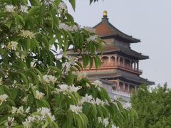-莲花池公园