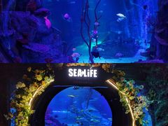 -沈阳海洋探索中心