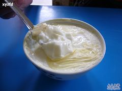 -德禄酸奶(莫家街店)