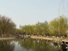 -丰台科技园生态主题公园