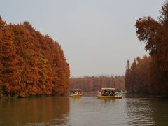 -上海海湾国家森林公园