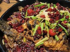 -老板恋上鱼(恒隆广场店)