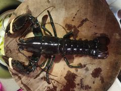 -麦德龙上海闵行商场-停车场