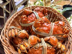 -蟹村草堂·苏式园林人文农家·大闸蟹