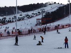 -东北亚滑雪场