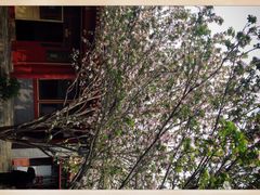 iphone_upload_pic-梅兰芳纪念馆
