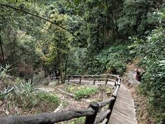 -马峦山郊野公园
