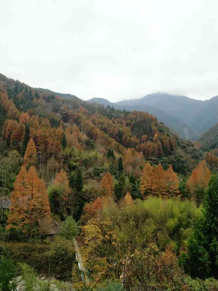 鸡冠山-"我大崇州的鸡冠山 以前有老板来开发 ."-大众点评移动版