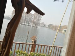 -东湖食堂·湖景餐厅•会议