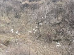 -抱龙峪