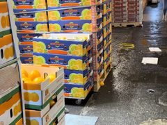 -油麻地果栏