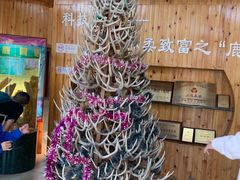 -北京鹿世界主题园
