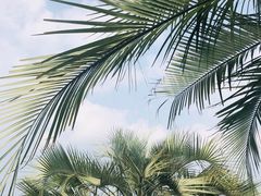 -南通洲际绿博园