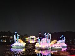 -映月湖公园