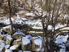 -西安祥峪森林公园