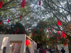 -广州市白云山风景名胜区