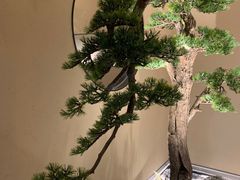 -觅唐MITONG(鸟巢店)