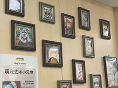 -申普宠物医院·心脏介入·心血管微创(总院)